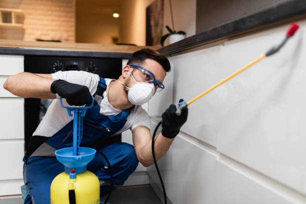 Best Affordable Pest Control Services  in Hartford City, IN