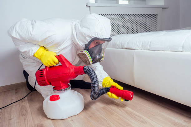 Best Flea Control Services  in Hartford City, IN