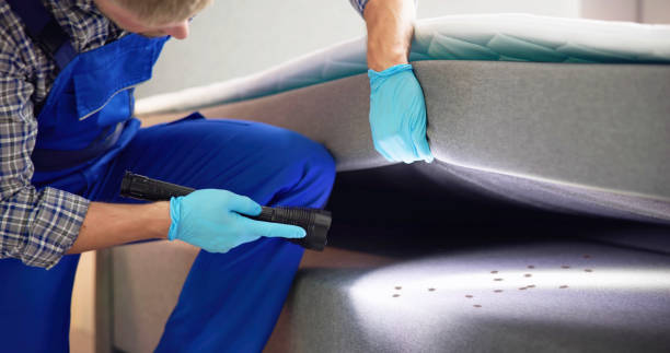 Best Ant Control Services  in Hartford City, IN