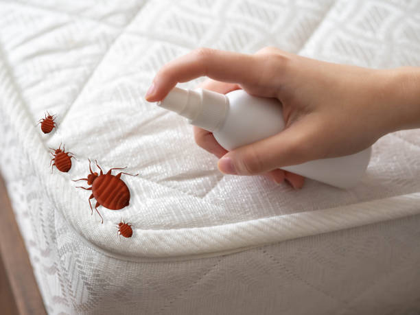 Best Pest Inspection Near Me  in Hartford City, IN
