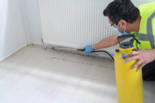 Best Best Pest Control Companies  in Hartford City, IN